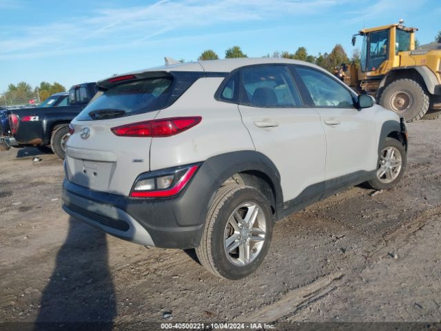 Photo 3 VIN: KM8K2CAB5PU021350 - HYUNDAI KONA 