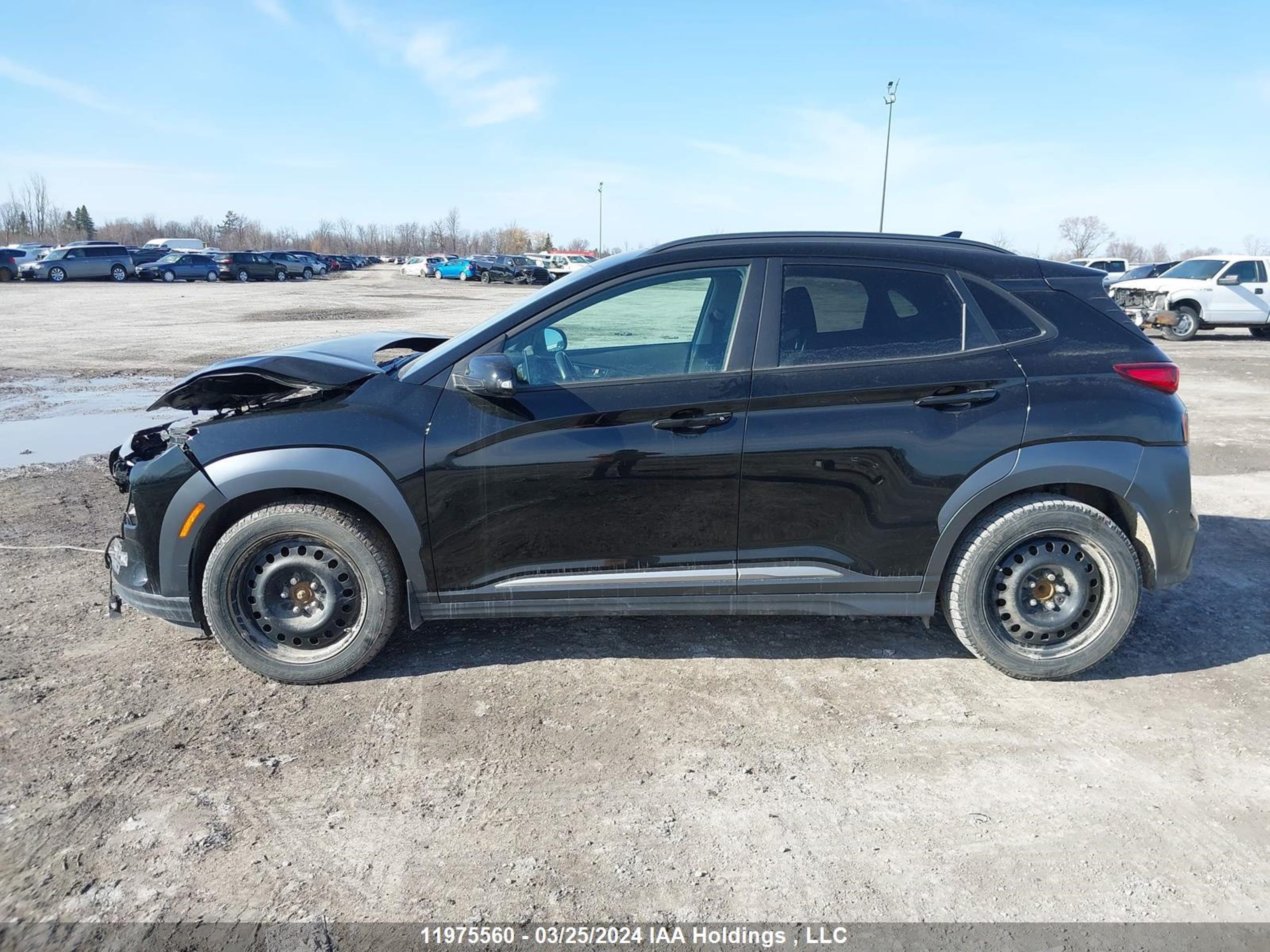 Photo 13 VIN: KM8K33AG9MU125876 - HYUNDAI KONA 