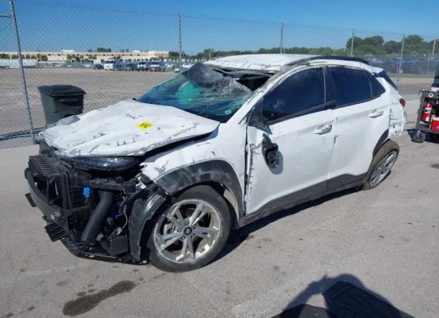 Photo 1 VIN: KM8K62AB2PU995981 - HYUNDAI KONA 