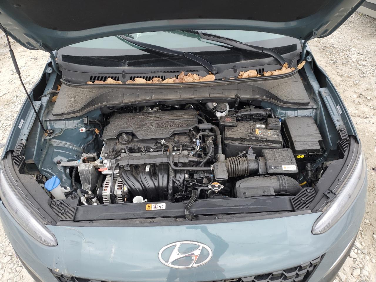 Photo 11 VIN: KM8K62AB5PU949402 - HYUNDAI KONA 