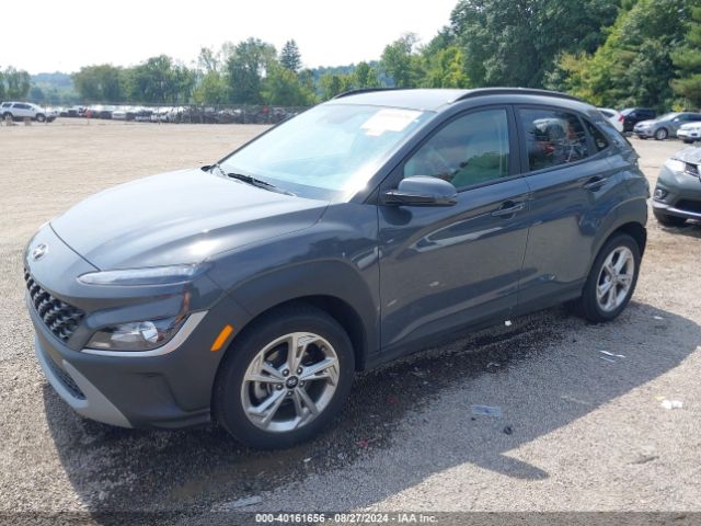 Photo 1 VIN: KM8K62AB9PU059565 - HYUNDAI KONA 