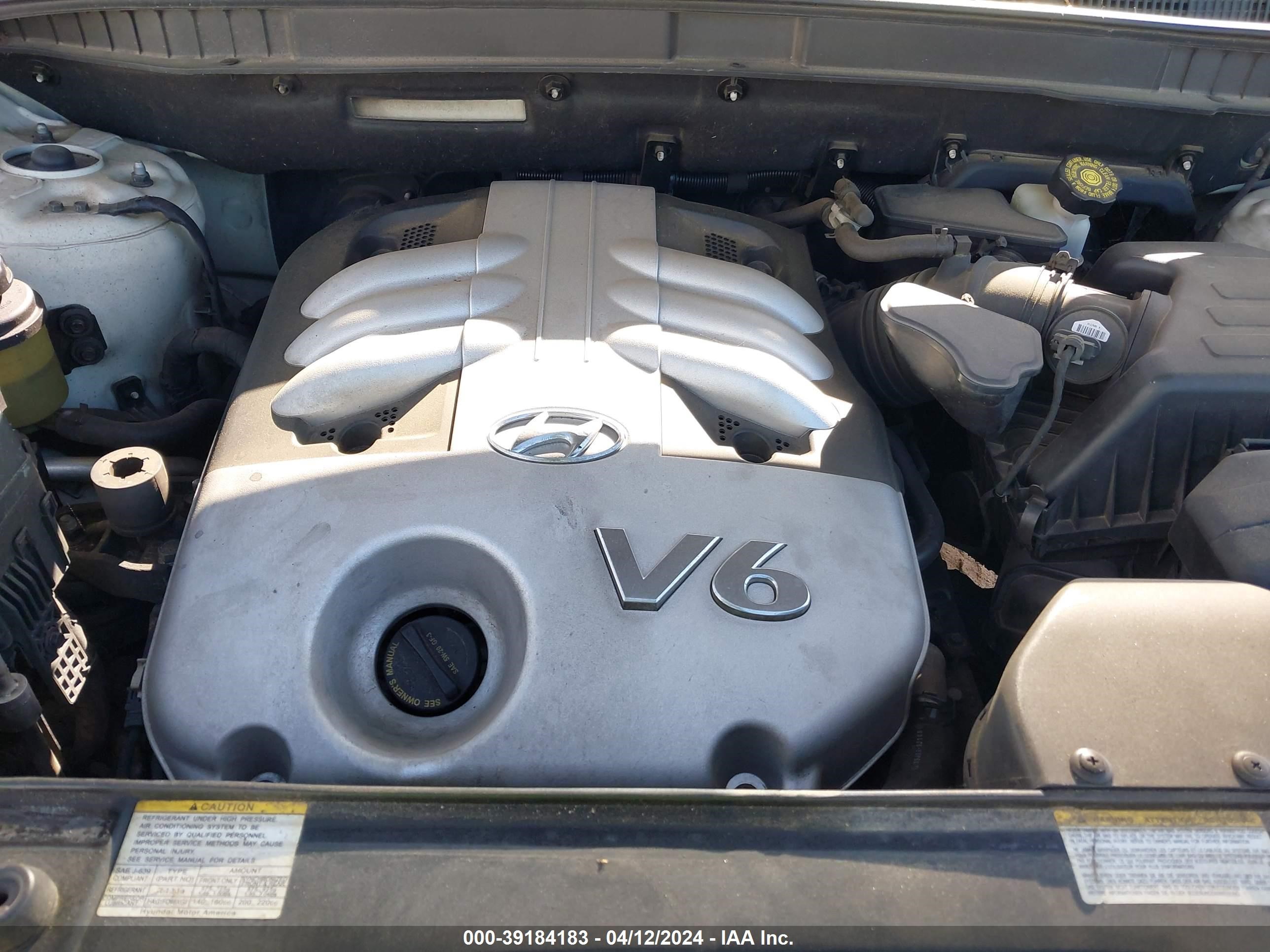 Photo 9 VIN: KM8NU13C57U019339 - HYUNDAI VERACRUZ 