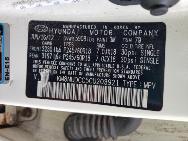 Photo 12 VIN: KM8NUDCC5CU203921 - HYUNDAI VERACRUZ G 