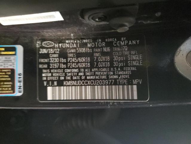 Photo 13 VIN: KM8NUDCCXCU203977 - HYUNDAI VERACRUZ G 