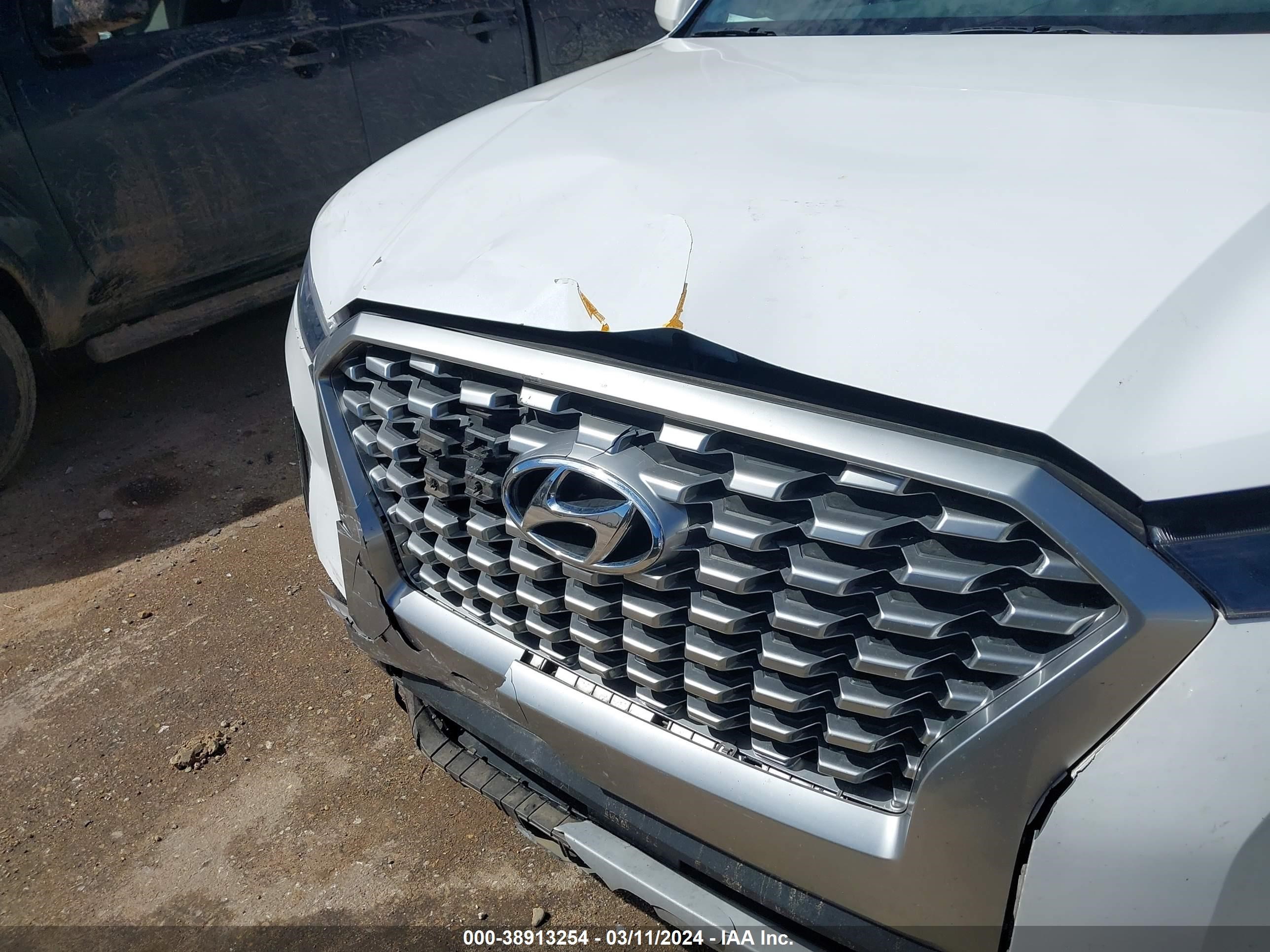 Photo 5 VIN: KM8R14HE0MU228649 - HYUNDAI PALISADE 