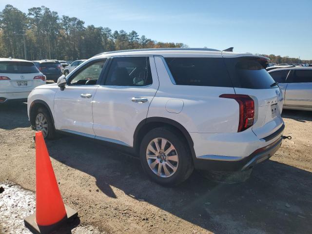 Photo 1 VIN: KM8R24GE6PU596367 - HYUNDAI PALISADE S 