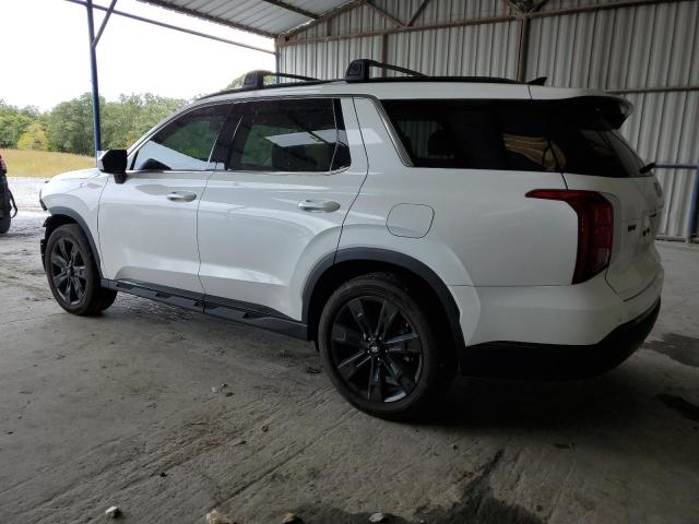 Photo 1 VIN: KM8R34GE5PU560702 - HYUNDAI PALISADE X 