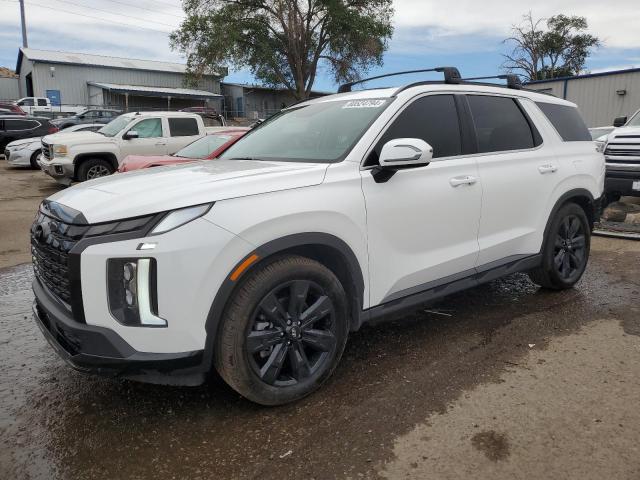 Photo 0 VIN: KM8R3DGE7PU610001 - HYUNDAI PALISADE X 