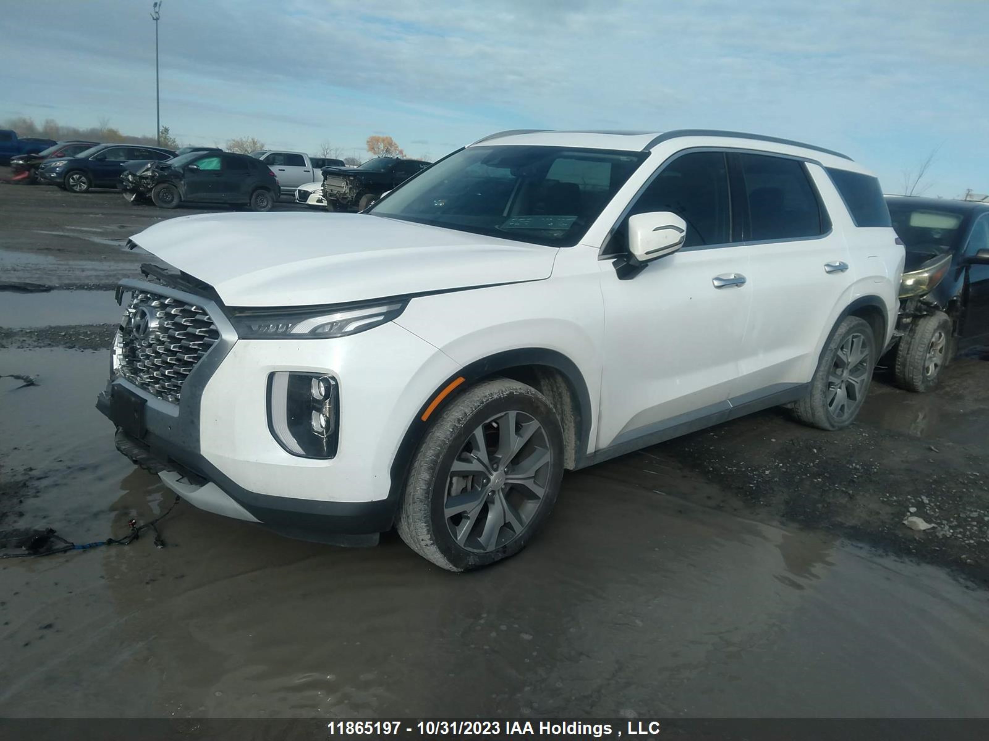 Photo 1 VIN: KM8R3DHE2LU030986 - HYUNDAI PALISADE 