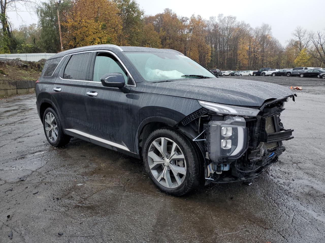 Photo 3 VIN: KM8R3DHE4LU089425 - HYUNDAI PALISADE 