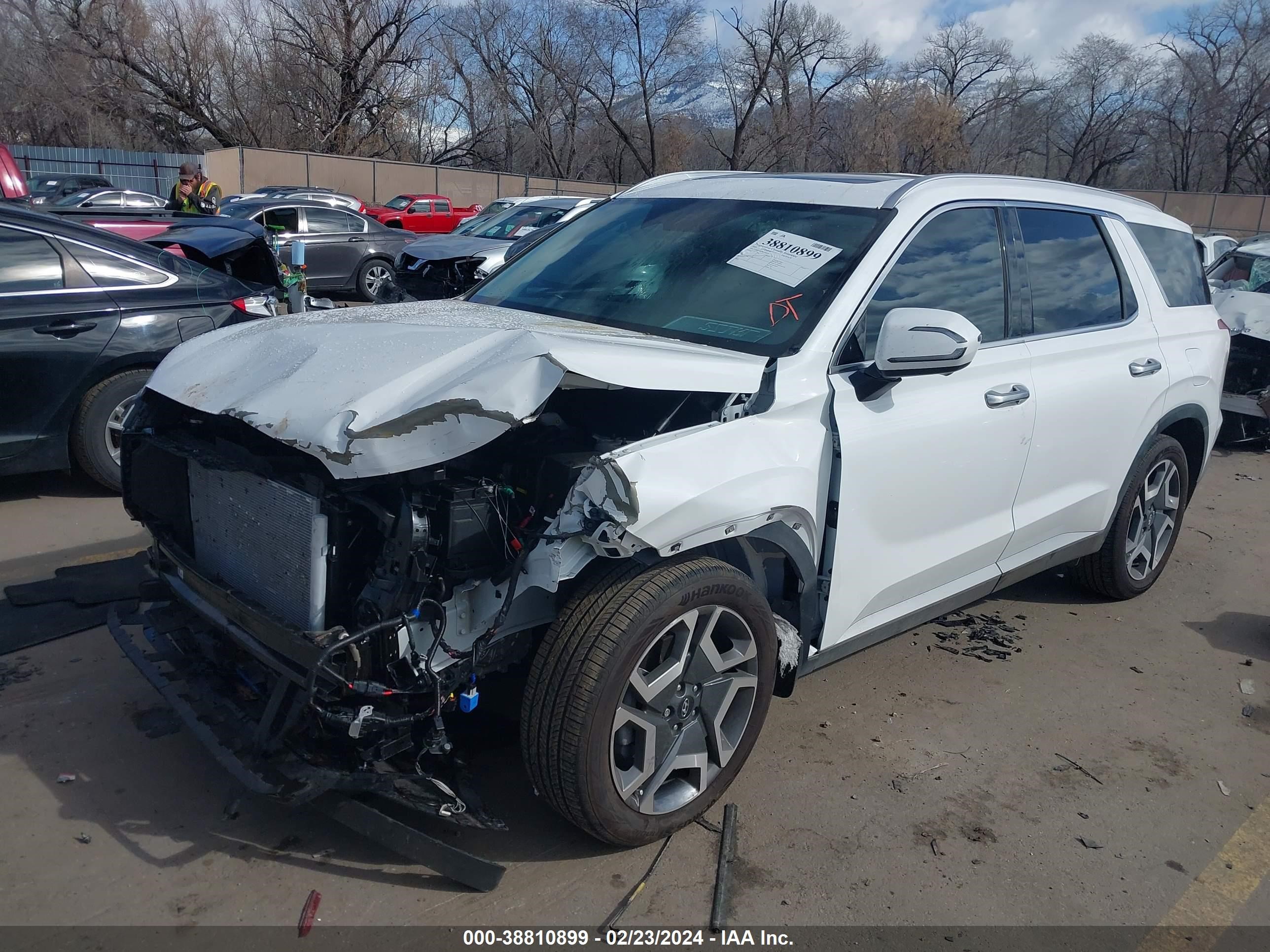 Photo 1 VIN: KM8R4DGE8RU669526 - HYUNDAI PALISADE 