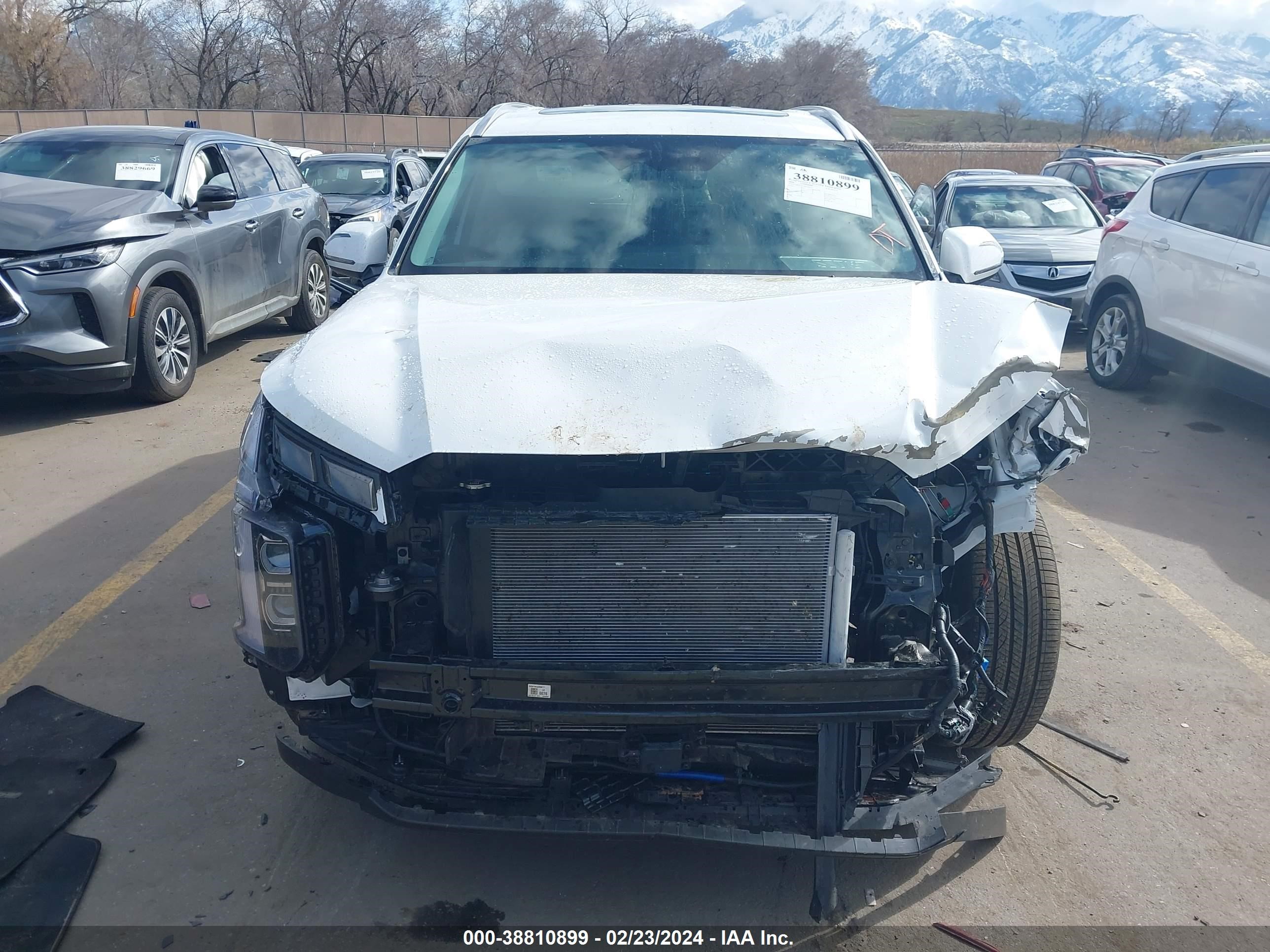 Photo 12 VIN: KM8R4DGE8RU669526 - HYUNDAI PALISADE 