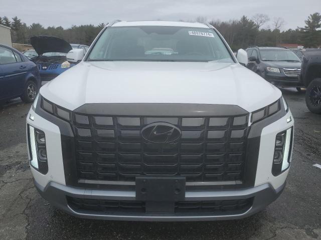 Photo 4 VIN: KM8R5DGE7PU564728 - HYUNDAI PALISADE 