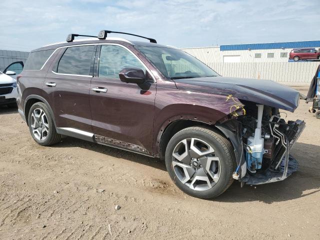 Photo 3 VIN: KM8R5DGE9PU605750 - HYUNDAI PALISADE L 