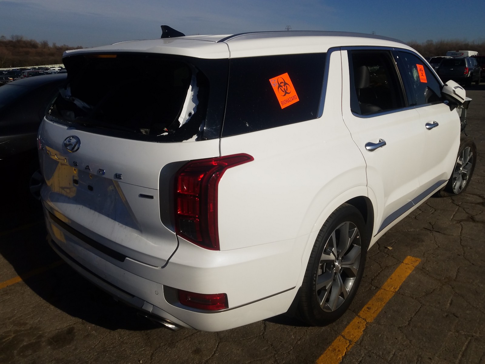 Photo 3 VIN: KM8R5DHE0MU187573 - HYUNDAI PALISADE L 