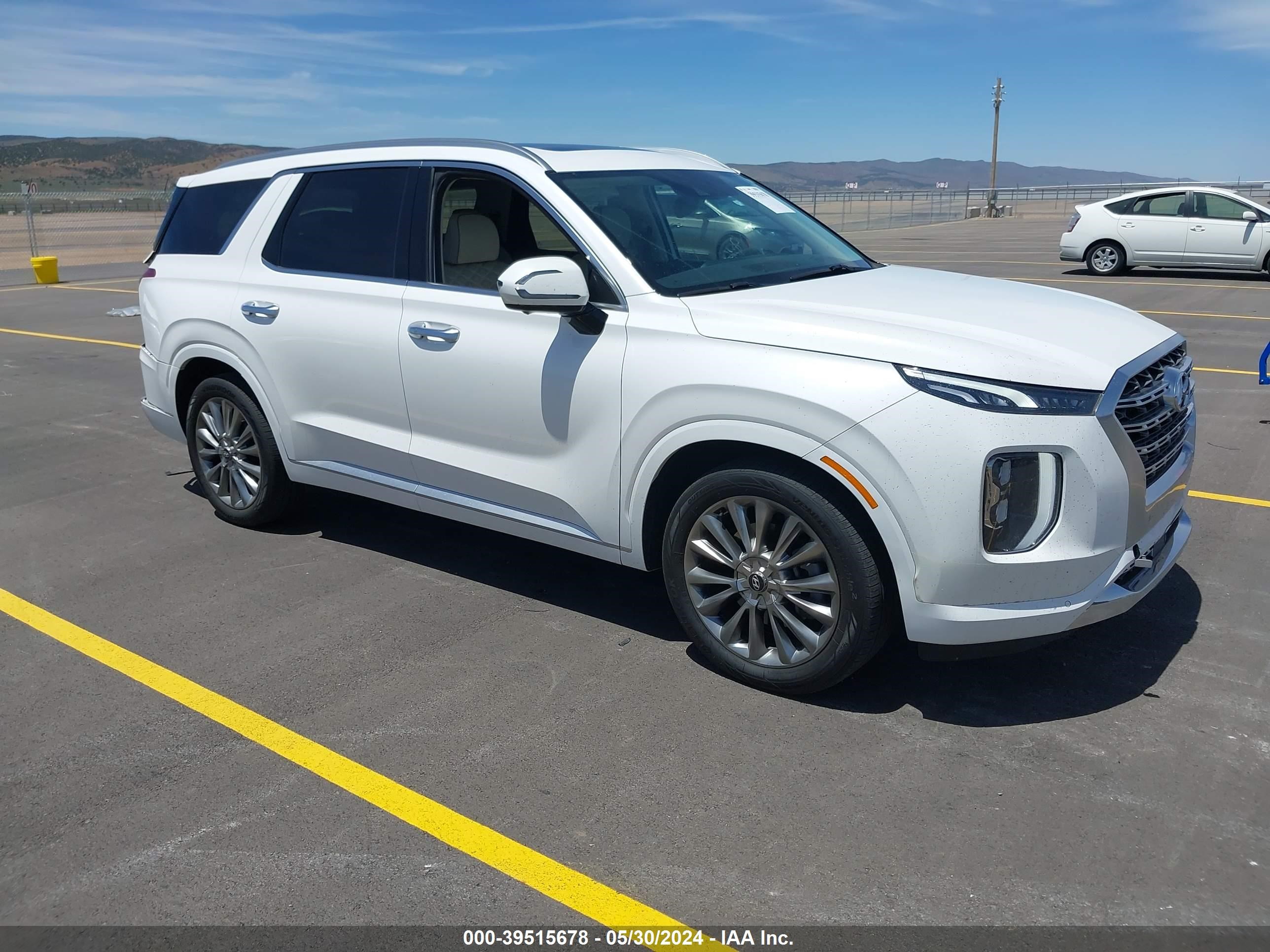 Photo 0 VIN: KM8R5DHE2LU096173 - HYUNDAI PALISADE 