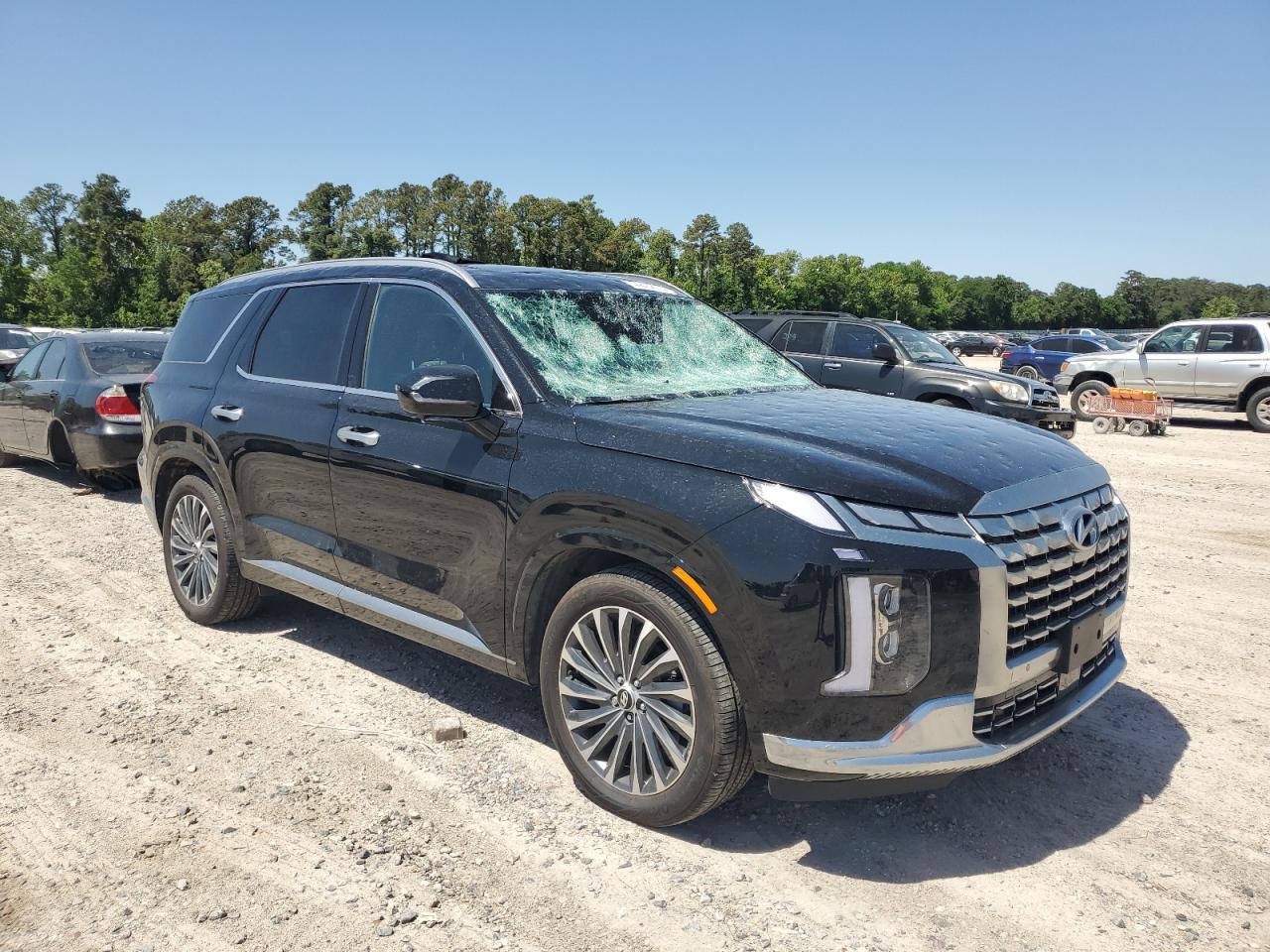 Photo 3 VIN: KM8R7DGE0RU647849 - HYUNDAI PALISADE 