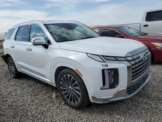 Photo 3 VIN: KM8R7DGE2PU567045 - HYUNDAI PALISADE C 