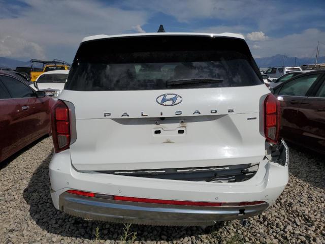 Photo 5 VIN: KM8R7DGE2PU567045 - HYUNDAI PALISADE C 