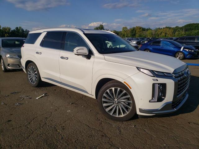 Photo 3 VIN: KM8R7DGE2RU716198 - HYUNDAI PALISADE C 