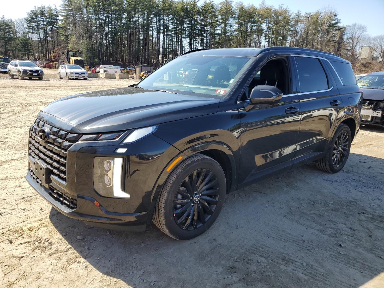 Photo 0 VIN: KM8R7DGE3RU710989 - HYUNDAI PALISADE 