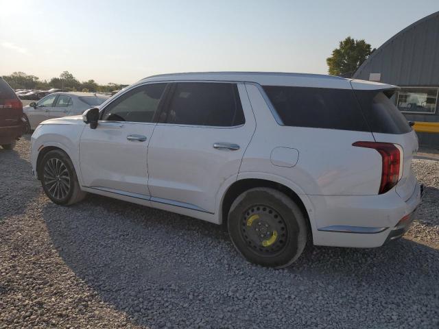 Photo 1 VIN: KM8R7DGE7RU675731 - HYUNDAI PALISADE C 