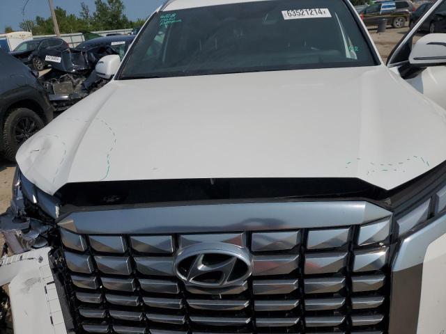 Photo 10 VIN: KM8R7DGE9RU739316 - HYUNDAI PALISADE C 