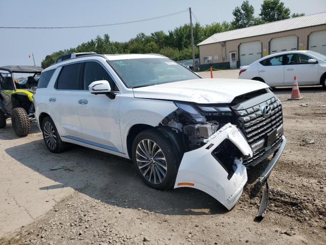 Photo 3 VIN: KM8R7DGE9RU739316 - HYUNDAI PALISADE C 