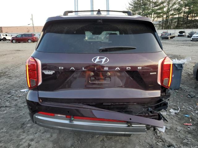 Photo 5 VIN: KM8R7DGEXPU499030 - HYUNDAI PALISADE C 