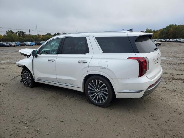 Photo 1 VIN: KM8R7DGEXRU722282 - HYUNDAI PALISADE C 