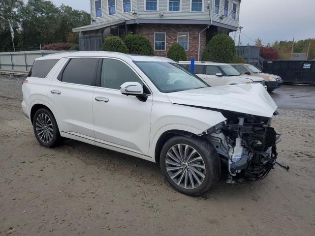 Photo 3 VIN: KM8R7DGEXRU722282 - HYUNDAI PALISADE C 