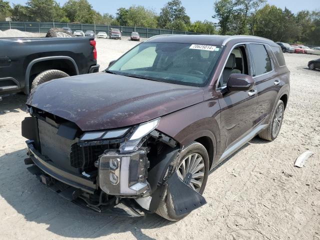 Photo 0 VIN: KM8R7DGEXRU730057 - HYUNDAI PALISADE C 