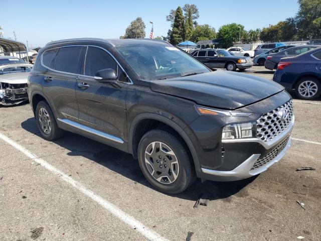 Photo 3 VIN: KM8S2DA10NU037501 - HYUNDAI SANTA FE B 