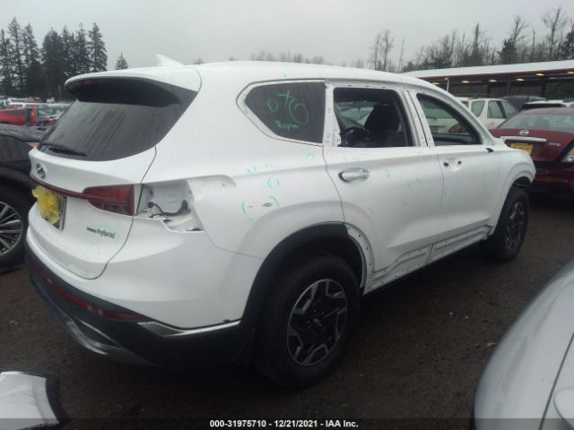 Photo 3 VIN: KM8S2DA13MU005690 - HYUNDAI SANTA FE HYBRID 