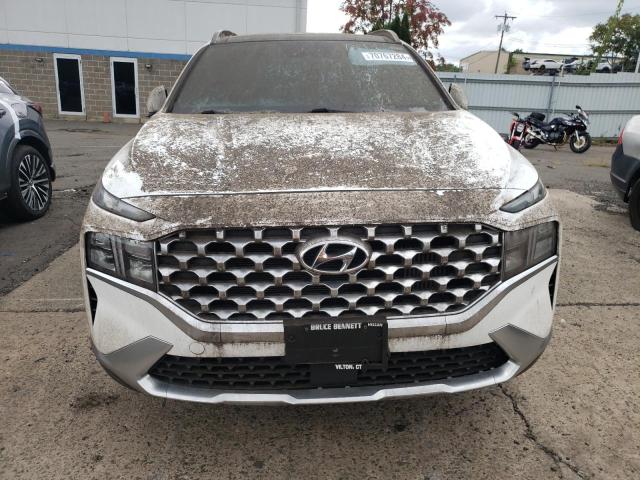 Photo 4 VIN: KM8S3DA16MU007432 - HYUNDAI SANTA FE S 