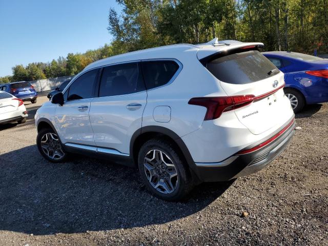 Photo 1 VIN: KM8S5DA16PU083439 - HYUNDAI SANTA FE L 