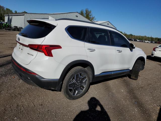 Photo 2 VIN: KM8S5DA16PU083439 - HYUNDAI SANTA FE L 