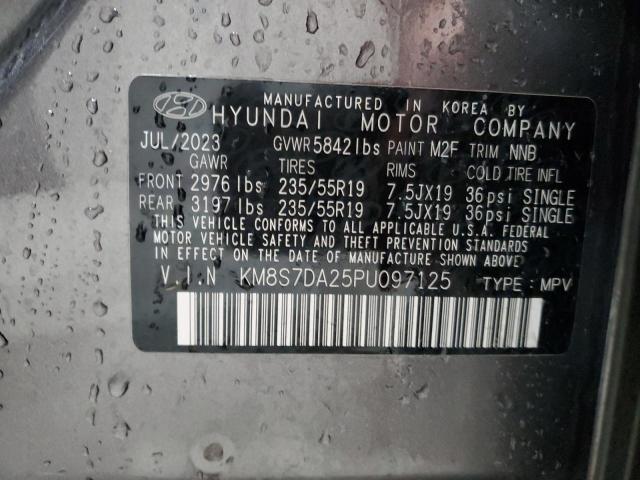 Photo 13 VIN: KM8S7DA25PU097125 - HYUNDAI SANTA FE L 