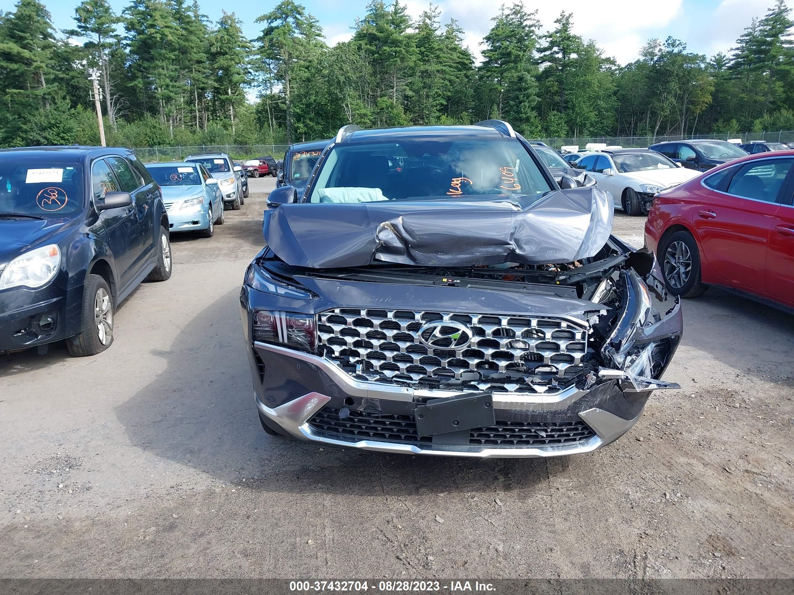 Photo 12 VIN: KM8S7DA29PU073765 - HYUNDAI SANTA FE 