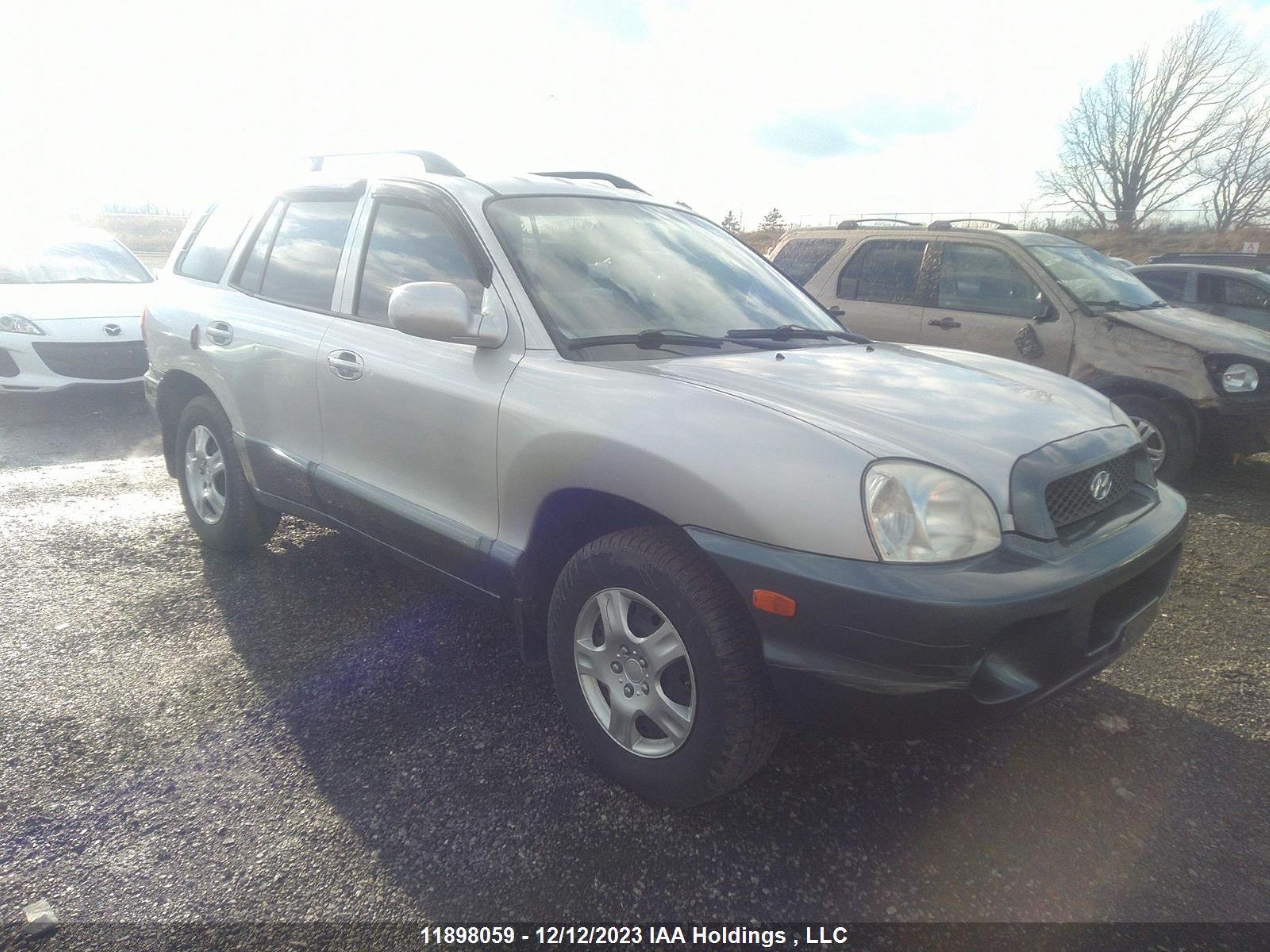 Photo 0 VIN: KM8SB13D04U848445 - HYUNDAI SANTA FE 