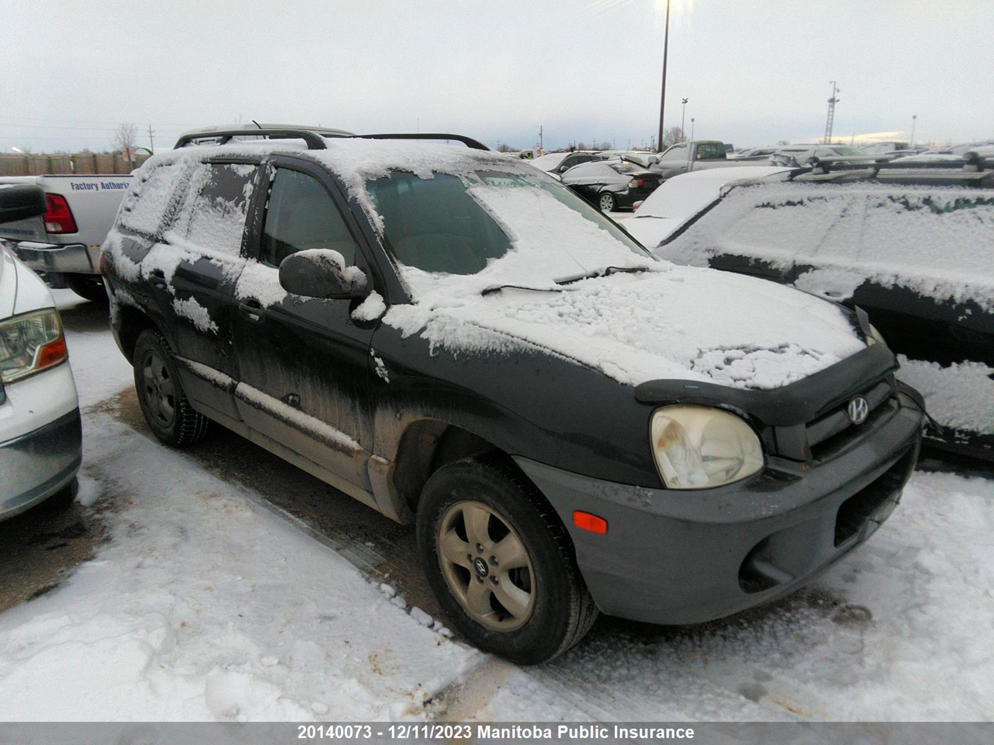 Photo 0 VIN: KM8SB13D76U095855 - HYUNDAI SANTA FE 