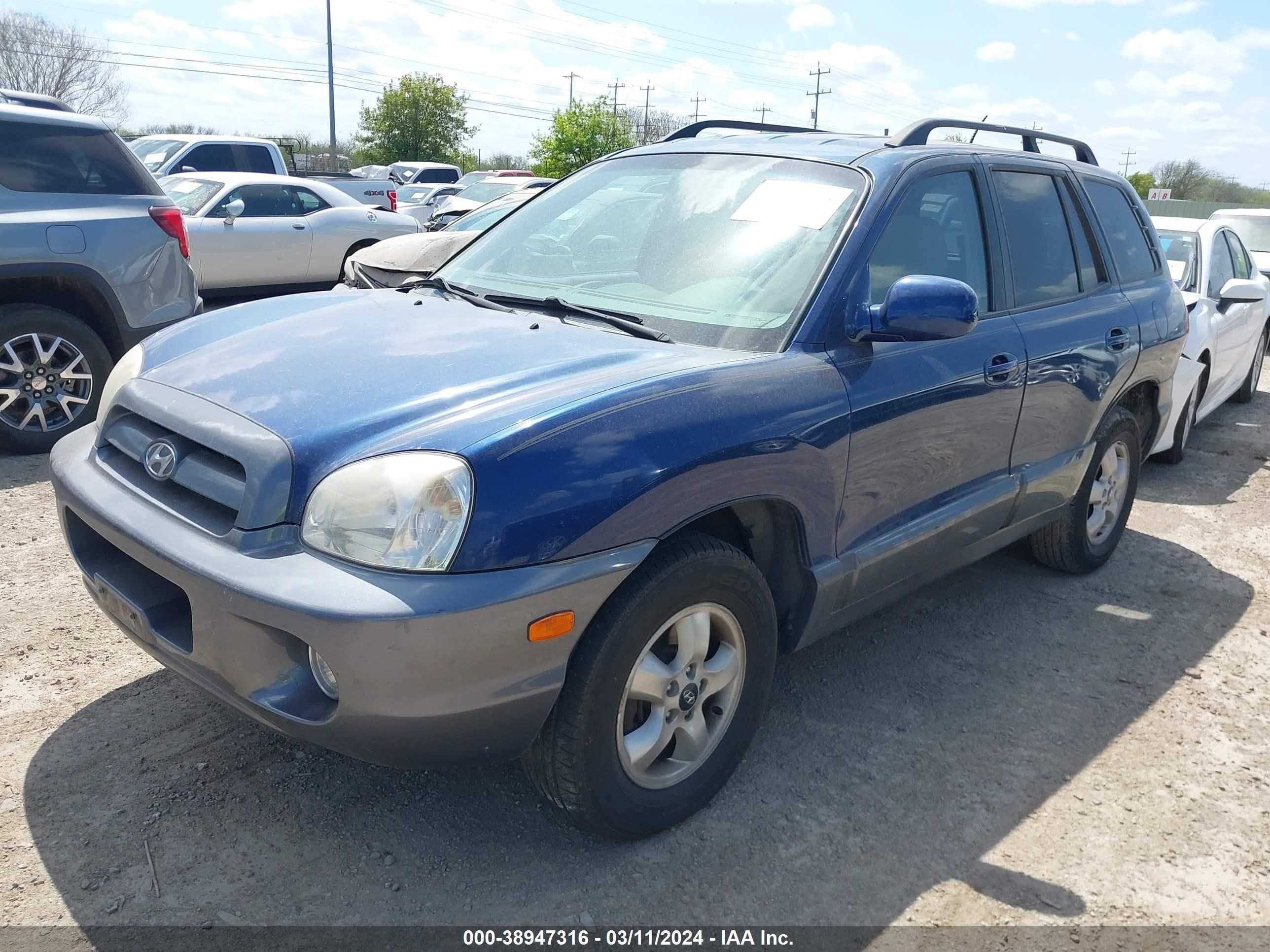 Photo 1 VIN: KM8SC13D26U089913 - HYUNDAI SANTA FE 