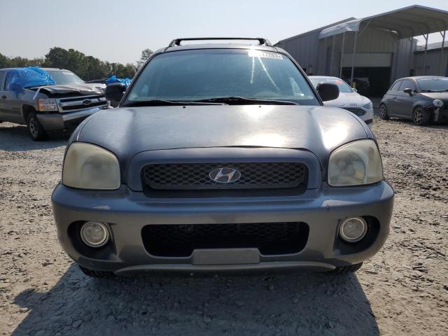 Photo 4 VIN: KM8SC13D33U510551 - HYUNDAI SANTA FE G 