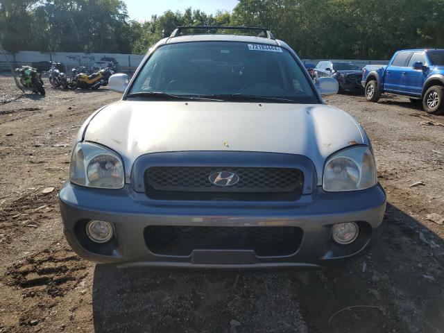 Photo 4 VIN: KM8SC13E13U535411 - HYUNDAI SANTA FE G 
