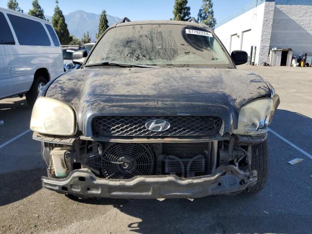 Photo 4 VIN: KM8SC13E23U526331 - HYUNDAI SANTA FE G 