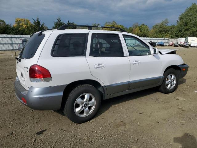 Photo 3 VIN: KM8SC73D05U864825 - HYUNDAI SANTA FE 