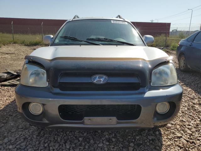 Photo 4 VIN: KM8SC73D55U960143 - HYUNDAI SANTA FE G 