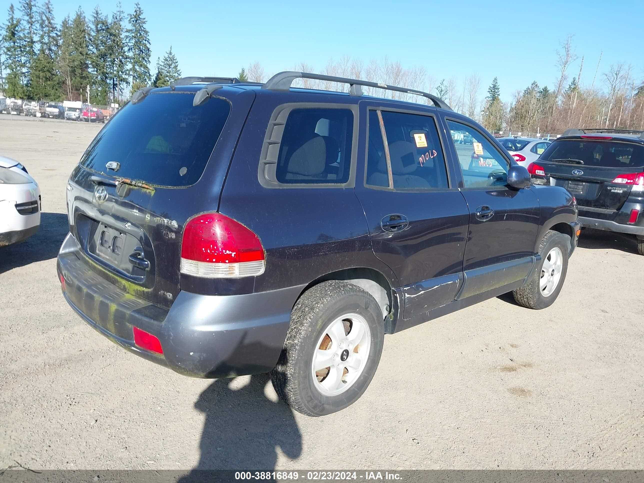 Photo 3 VIN: KM8SC73D65U953766 - HYUNDAI SANTA FE 