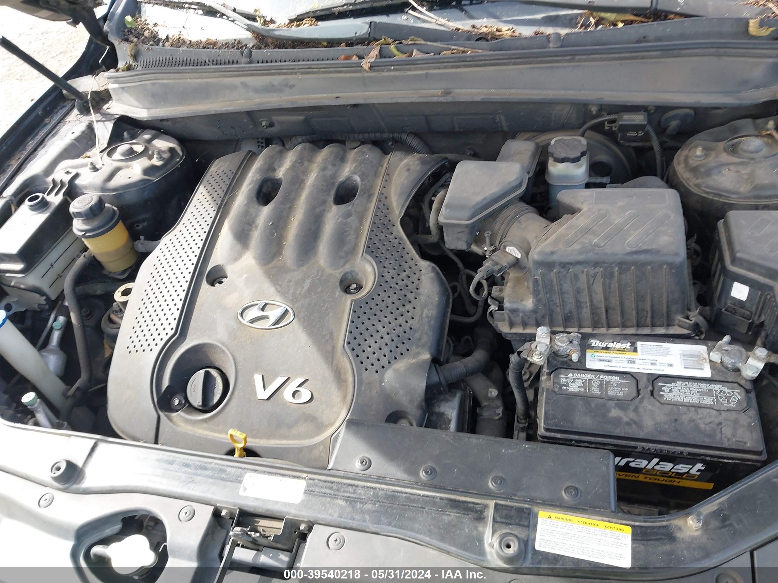 Photo 9 VIN: KM8SG13D37U142124 - HYUNDAI SANTA FE 