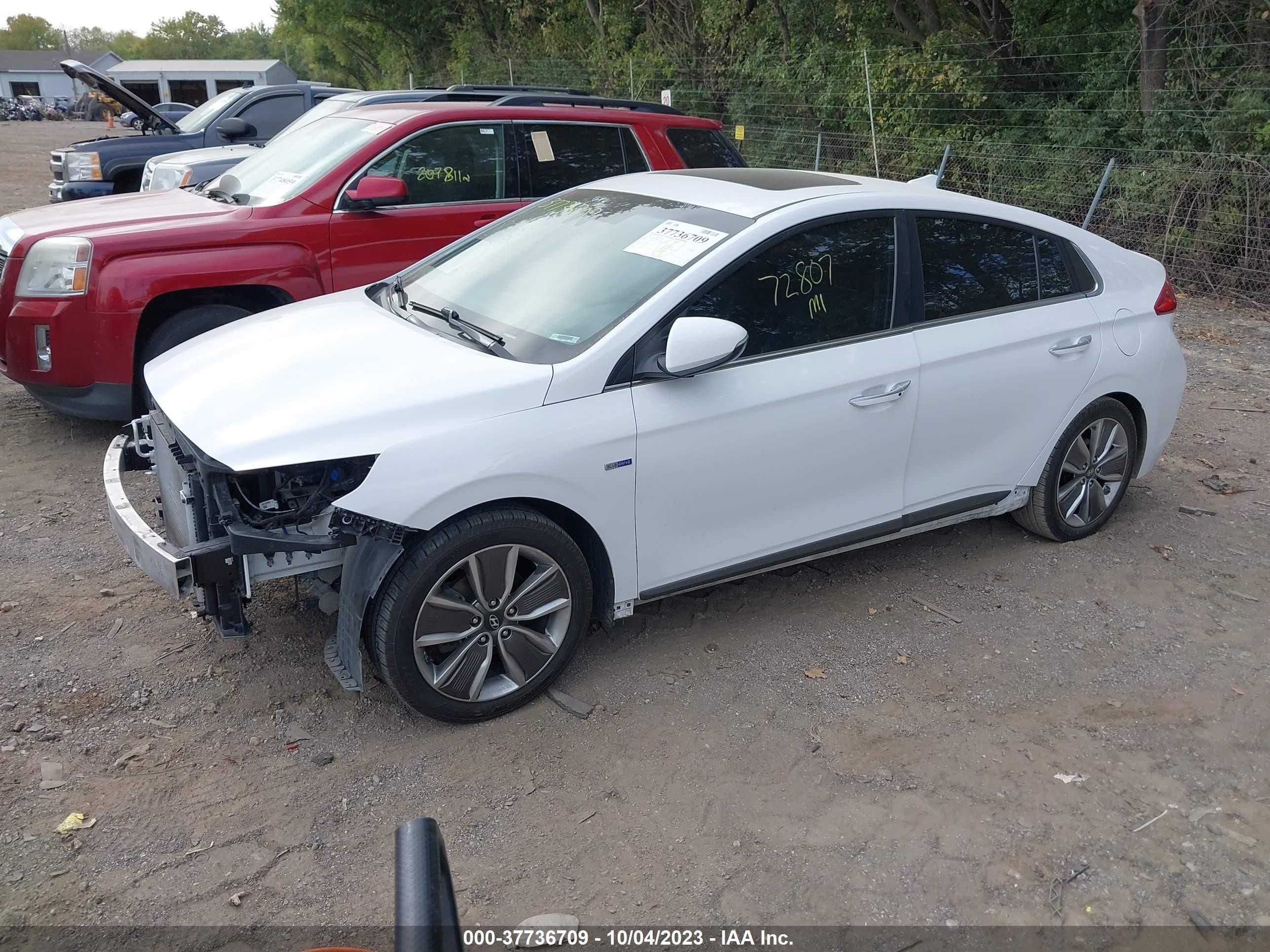 Photo 1 VIN: KMHC05LCXKU112554 - HYUNDAI IONIQ 